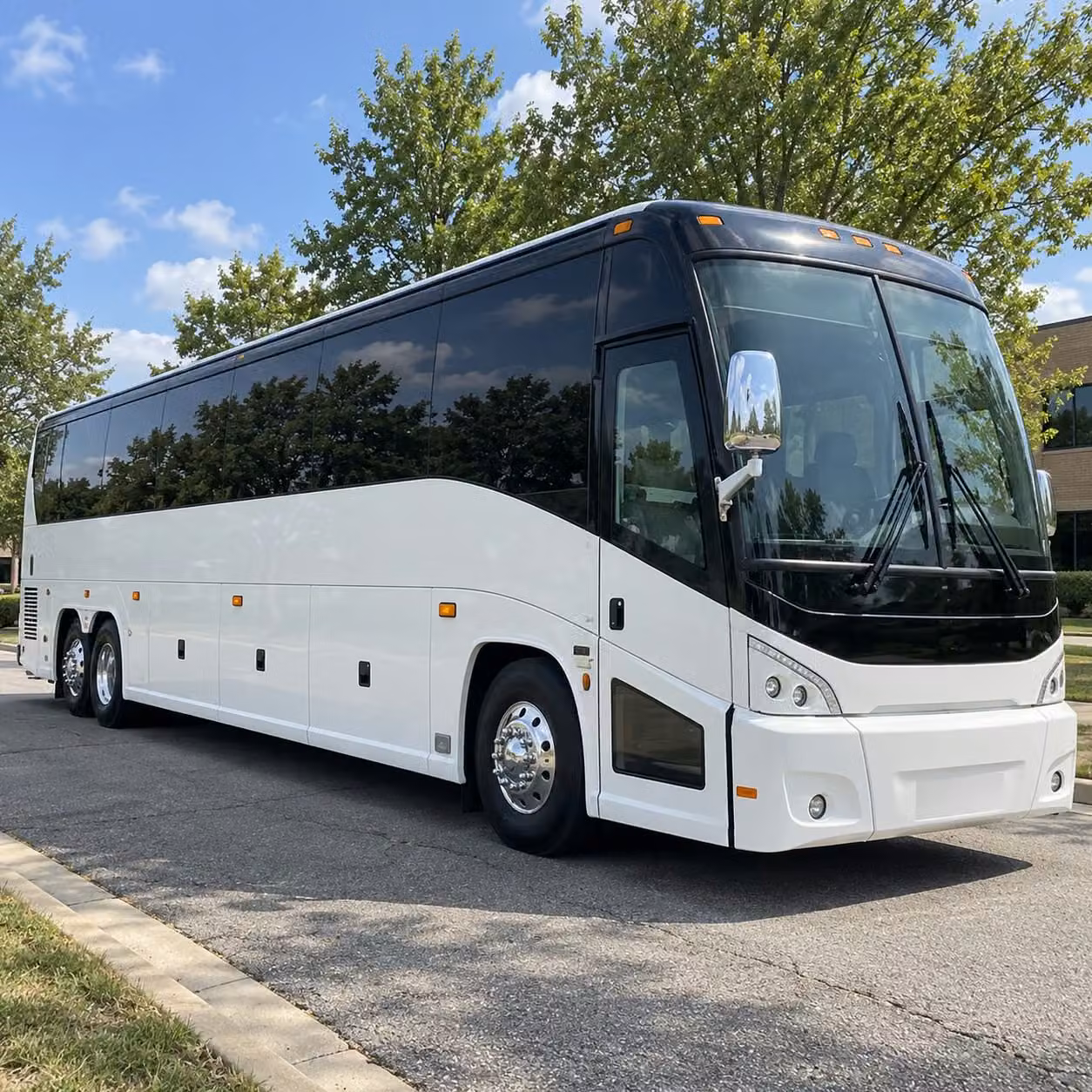 coachbuscoralsprings com makes zoo miami and south florida wildlife field trips simple